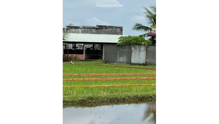 CHÍNH CHỦ BÁN LÔ ĐẤT 1000M2 GIÁ SIÊU TỐT TẠI BÀU SEN, ĐỨC HÒA, LONG AN