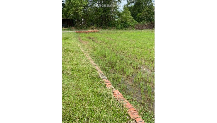 CHÍNH CHỦ BÁN LÔ ĐẤT 1000M2 GIÁ SIÊU TỐT TẠI BÀU SEN, ĐỨC HÒA, LONG AN