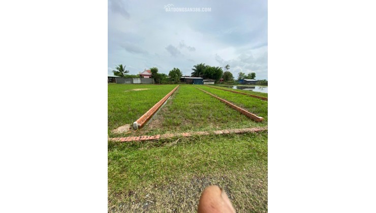 CHÍNH CHỦ BÁN LÔ ĐẤT 1000M2 GIÁ SIÊU TỐT TẠI BÀU SEN, ĐỨC HÒA, LONG AN