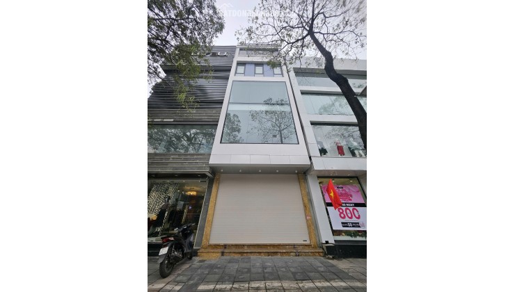 Bán nhà MP Trúc Khuê, Dt 50m2 x 6 Tầng, MT: 3.8m, Đường 15m, vỉa hè 5m, Tiện KD.