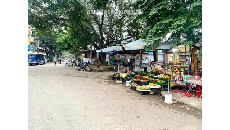 Đất Nền huyện Thạch Thành Tỉnh Thanh Hoá phân khúc giá rẻ