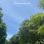 TRUNG TÂM BA ĐÌNH - NHÀ MỚI ĐẸP - THANG MÁY - Ô TÔ VÀO NHÀ - 5 TẦNG - 55M