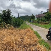 bán đất đẹp tại  Lộc Thành( Bảo Lâm 3) Lâm Đồng giá siêu rẻ