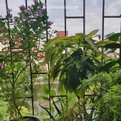 BÁN NHÀ CHÍNH CHỦ TẠI NGÕ 158 NGỌC HÀ – VỊ TRÍ ĐẮC ĐỊA - VIEW HỒ