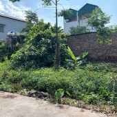 CHÍNH CHỦ BÁN ĐẤT XÃ THUẬN AN - HÀ NỘI, DIỆN TÍCH 45.5 M2, GIÁ 2.3 TỶ