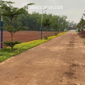 BÁN ĐẤT ĐỒNG NAI GIÁ RẼ