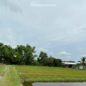 CHÍNH CHỦ BÁN LÔ ĐẤT 1000M2 GIÁ SIÊU TỐT TẠI BÀU SEN, ĐỨC HÒA, LONG AN