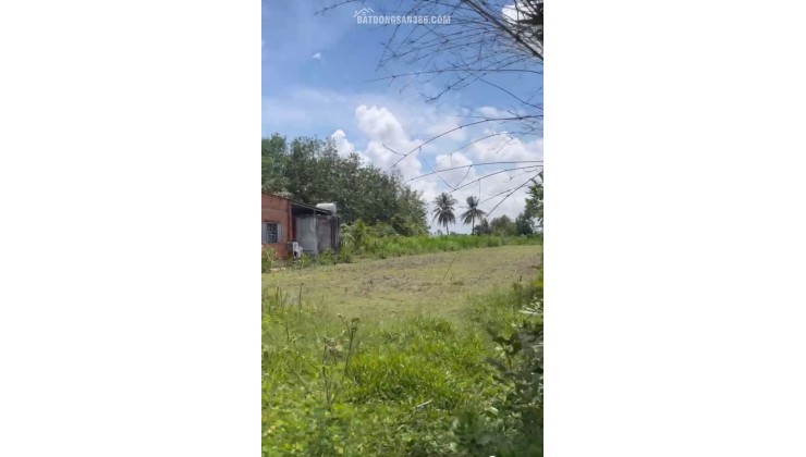 Chính Chủ Bán 1575,7m2 Đất Vườn Tại Phường Trảng Bàng, Thị Xã Trảng Bàng, Tây Ninh.