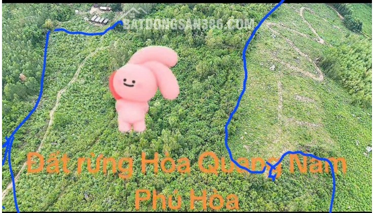 Cần Bán 5,1ha Đất Thôn Phú Thạnh, Xã Hòa Quang Nam, Huyện Phú Hòa, Tỉnh Phú Yên (nay thuộc Đắk Lắk)