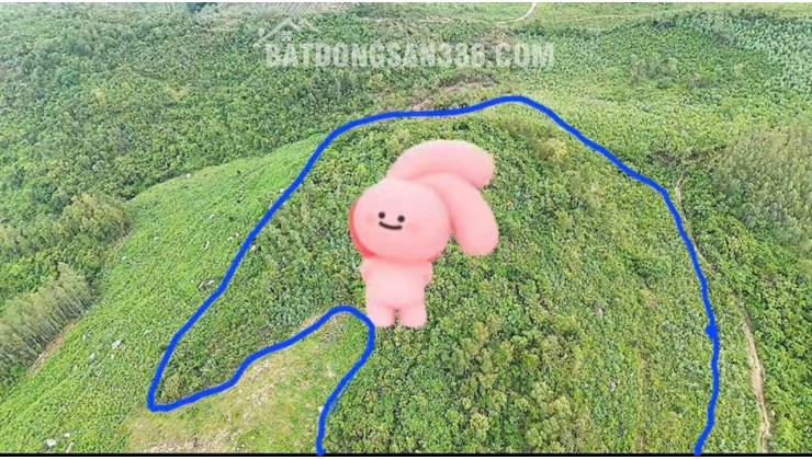 Cần Bán 5,1ha Đất Thôn Phú Thạnh, Xã Hòa Quang Nam, Huyện Phú Hòa, Tỉnh Phú Yên (nay thuộc Đắk Lắk)