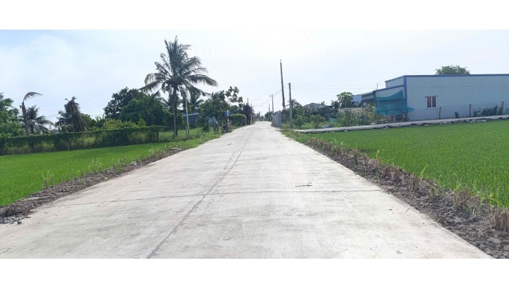 Bán lô đất thổ lúa làm nhà vườn giá 1,65 tỷ