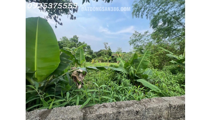 Siêu phẩm đất đẹp vuông như bánh chưng, giá rẻ tại Phú Mãn, Quốc Oai