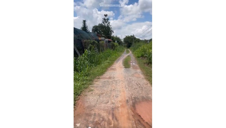 Chính Chủ Bán 1575,7m2 Đất Vườn Tại Phường Trảng Bàng, Thị Xã Trảng Bàng, Tây Ninh.