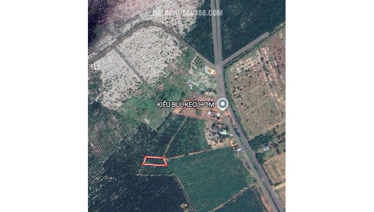 Cơ Hội Đầu Tư Vàng: 1033m2 Đất Thổ Cư Quốc Lộ 55, Hàm Tân - Bình Thuận, Chỉ 1 Tỷ!