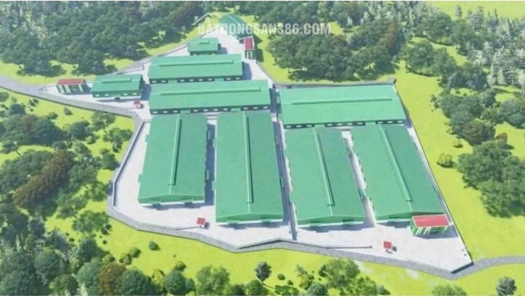 BÁN NHÀ XƯỞNG GIÁ RẺ 215 TỶ 39000M2 TÂN YÊN - BÌNH DƯƠNG