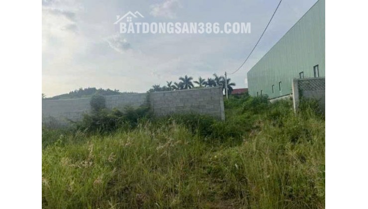 Chính Chủ Cần bán 02 lô đất liền kề, tổng diện tích 900m2, tại Suối Đá, P. Tân Xuân, TP. Đồng Xoài, Bình Phước.