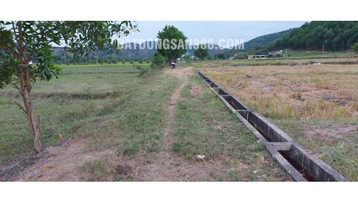 CHÍNH CHỦ BÁN ĐẤT CLN TẠI XÃ ĐẠ KHO, HUYỆN  ĐẠ TẺH, LÂM ĐỒNG
