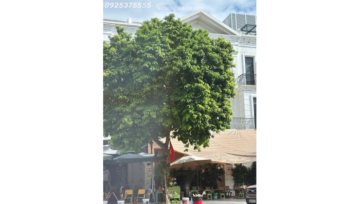 Shophouse rẻ nhất Vinhomes Ocean Park 1, Gia Lâm, Hà Nội. MTG