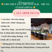  CHO THUÊ SÀN THƯƠNG MẠI – TRUNG TÂM HÀ ĐÔNG - DIỆN TÍCH 250M 