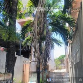 CHỈ NHĨNH 3 TỶ CÓ NGAY LÔ ĐẤT 148M K TRẦN NGỌC SƯƠNG, HOÀ THỌ ĐÔNG, CẨM LỆ, THÔNG THĂNG LONG