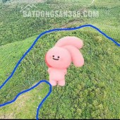 Cần Bán 5,1ha Đất Thôn Phú Thạnh, Xã Hòa Quang Nam, Huyện Phú Hòa, Tỉnh Phú Yên (nay thuộc Đắk Lắk)