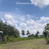 Chính Chủ Bán 1575,7m2 Đất Vườn Tại Phường Trảng Bàng, Thị Xã Trảng Bàng, Tây Ninh.