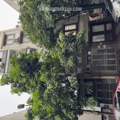 PHÂN LÔ - OTO TRANH - VỈA HÈ - KINH DOANH