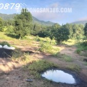 MUA TÀI SẢN 0 ĐỒNG LÀ CÓ THẬT