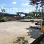 Chính Chủ Cần bán nhanh đất 700m² có nhà tạm tại TP. Đồng Xoài – Giá 6,3 tỷ