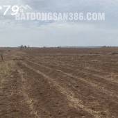CHO THUÊ 150HA ĐẤT TRỒNG NÔNG NGHIỆP
