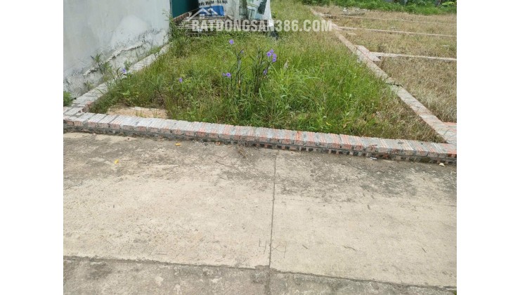 BÁN ĐẤT TỔ 9 (ẤP TRE), XÃ QUANG MINH, HN - NHÕ THÔNG BÀN CỜ, ÔTÔ VÀO ĐẤT, 100% THỔ CƯ, GIÁ ĐẦU TƯ (chỉ 5xtr/m)