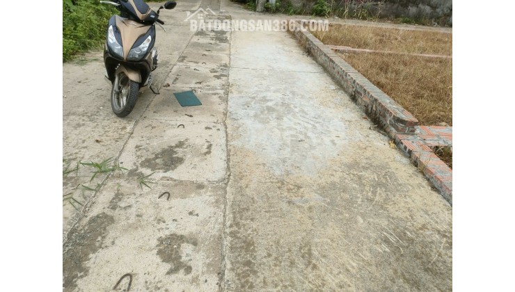BÁN ĐẤT TỔ 9 (ẤP TRE), XÃ QUANG MINH, HN - NHÕ THÔNG BÀN CỜ, ÔTÔ VÀO ĐẤT, 100% THỔ CƯ, GIÁ ĐẦU TƯ (chỉ 5xtr/m)
