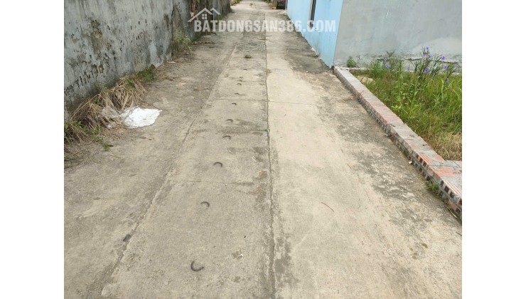BÁN ĐẤT TỔ 9 (ẤP TRE), XÃ QUANG MINH, HN - NHÕ THÔNG BÀN CỜ, ÔTÔ VÀO ĐẤT, 100% THỔ CƯ, GIÁ ĐẦU TƯ (chỉ 5xtr/m)