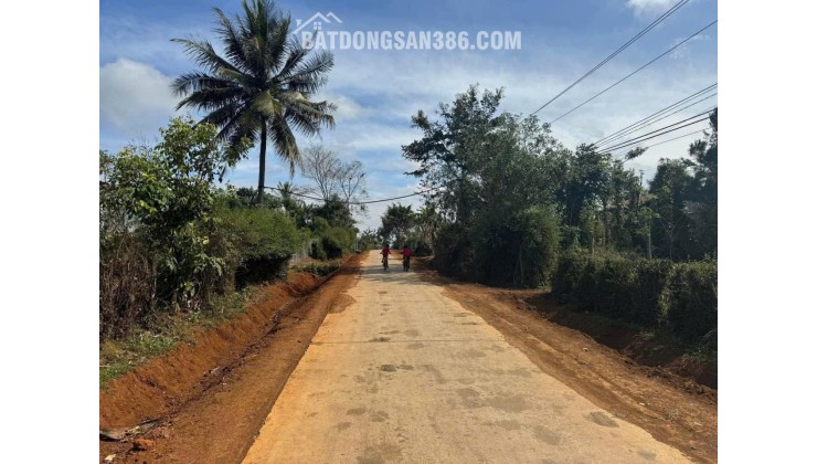 Cần Bán 500m2, Thổ Cư 120m2 Tại Xã Dur Kmăl, Huyện Krông Ana, Tỉnh Đắk Lắk.