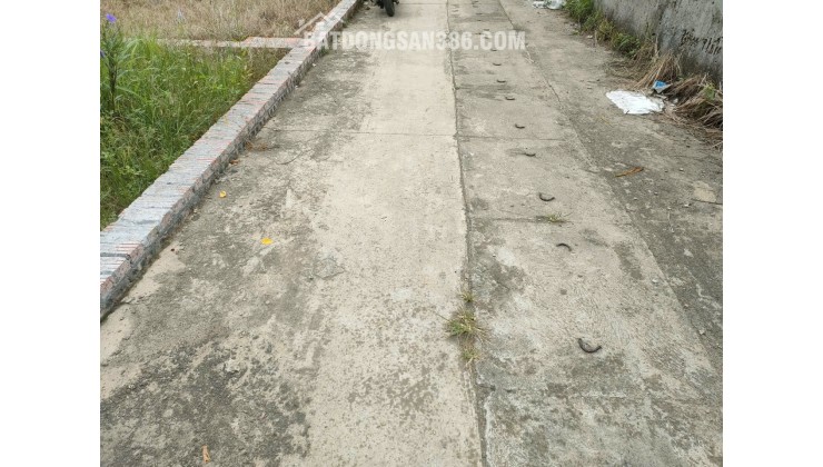 BÁN ĐẤT TỔ 9 (ẤP TRE), XÃ QUANG MINH, HN - NHÕ THÔNG BÀN CỜ, ÔTÔ VÀO ĐẤT, 100% THỔ CƯ, GIÁ ĐẦU TƯ (chỉ 5xtr/m)