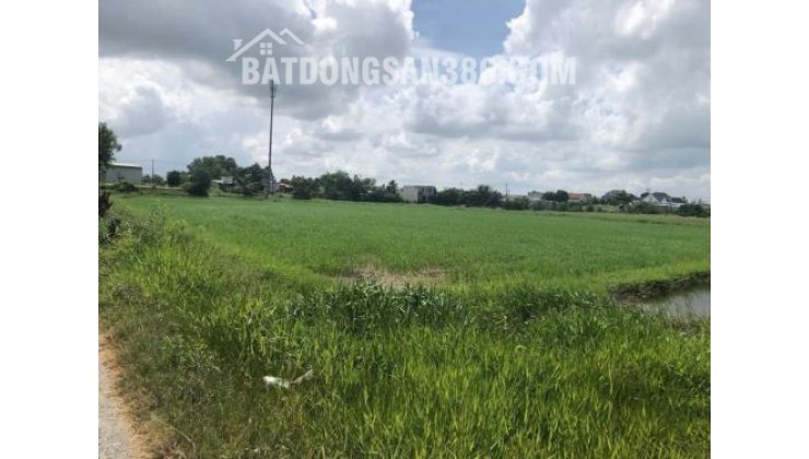 Đất 8x30m gần Tỉnh lộ 835 – hạ tầng hoàn chỉnh, thích hợp ở nghĩ dưỡng