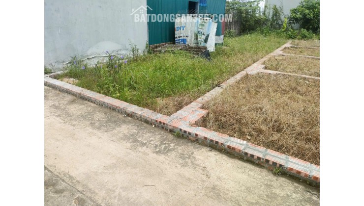 BÁN ĐẤT TỔ 9 (ẤP TRE), XÃ QUANG MINH, HN - NHÕ THÔNG BÀN CỜ, ÔTÔ VÀO ĐẤT, 100% THỔ CƯ, GIÁ ĐẦU TƯ (chỉ 5xtr/m)