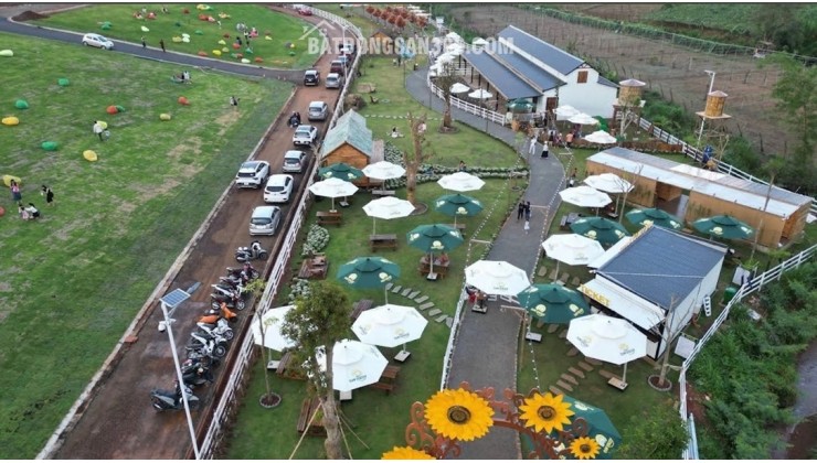 BÁN ĐẤT ĐẸP SUN VALLEY – TRUNG TÂM TP. BẢO LỘC – SỔ ĐỎ RIÊNG