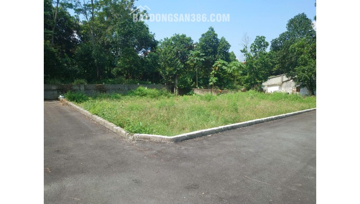 Bán gấp đất tại Xuân Khanh, Sơn tây 110m2 MT 7m, giá rẻ mua ngay có lãi liền tay.