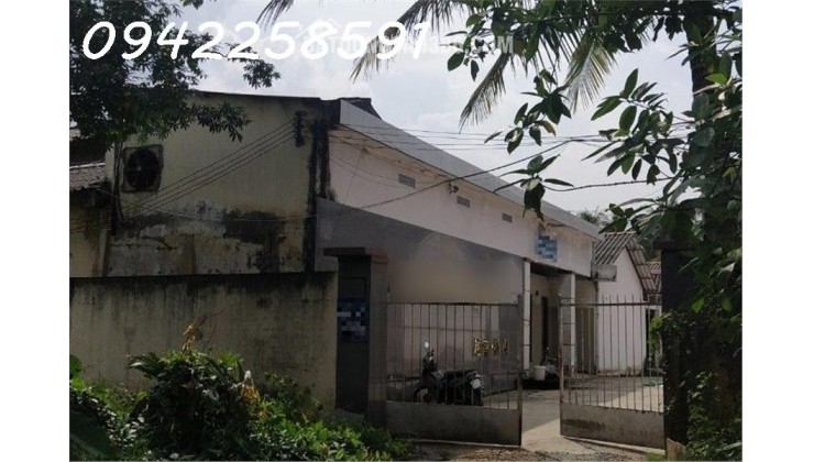 Tặng 1 năm miễn phí tiền thuê xưởng 3335m2 (chính chủ)