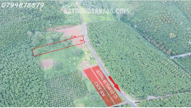 CẦN BÁN ĐẤT LỘC NGÃI – BẢO LỘC, LÂM ĐỒNG mkt49