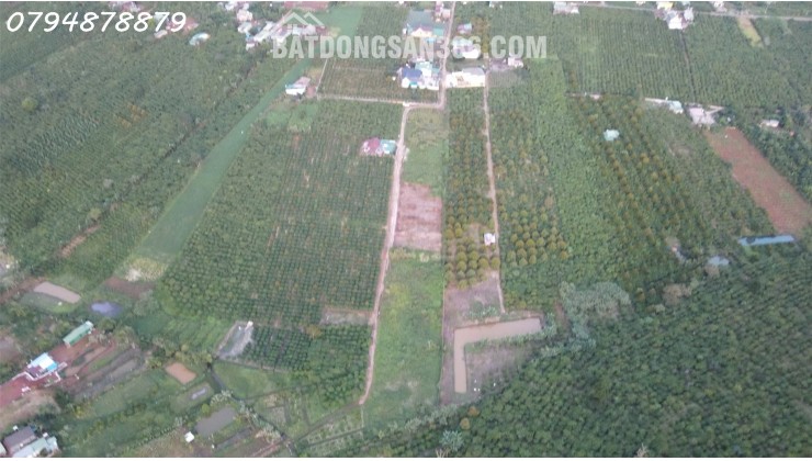 BÁN ĐẤT TÂN CHÂU – VỊ TRÍ ĐẸP, GẦN QL20, TIỆN ÍCH ĐẦY ĐỦ