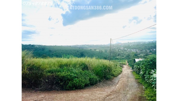  BÁN ĐẤT TÂN CHÂU – VỊ TRÍ ĐẸP, GẦN QL20, TIỆN ÍCH ĐẦY ĐỦ