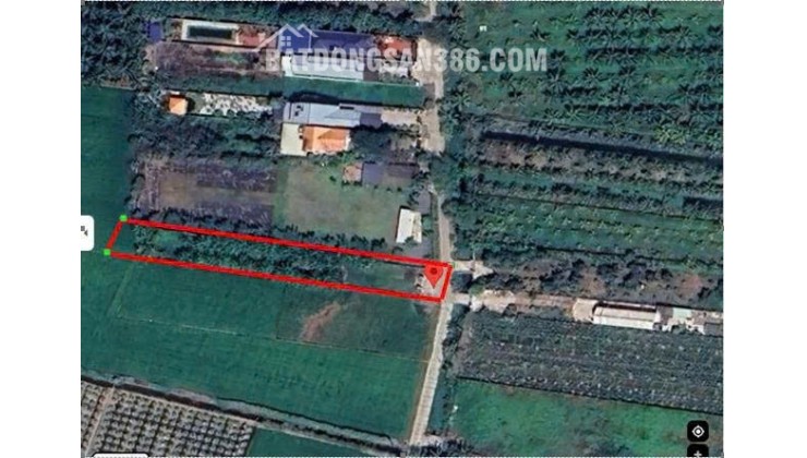 Chính chủ bán đất 1030m2 giá 7,2 tỷ, tp. Tân An, Long An
