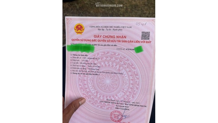 SIÊU RẺ – BÁN LÔ ĐẤT SÀO GIÁ CHỈ 290 TRIỆU- HỚN QUẢN - BÌNH PHƯỚC