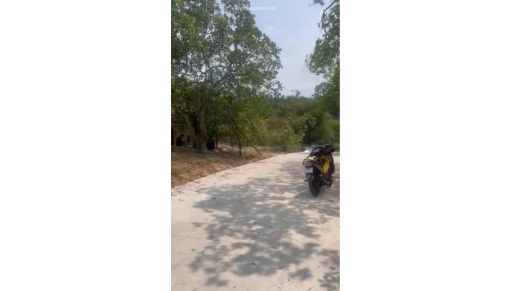 Chính chủ cần bán đất giá rẻ – Chỉ 650 triệu/sào-  Lộc Ninh - Bình Phước