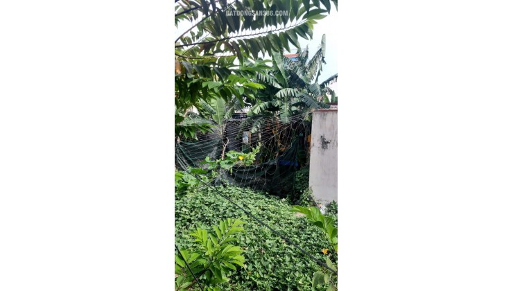 BÁN 236.1M2 ĐẤT TẠI TP VŨNG TÀU, SHR CHỈ 6.1 TỶ. LH: 0969619222.