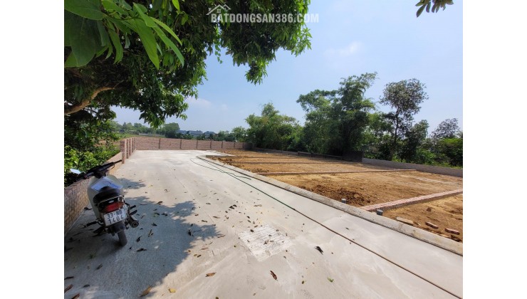 Cổ Đông, Sơn Tây: Nơi những lô đất tuyệt đẹp đang chờ đón bạn!