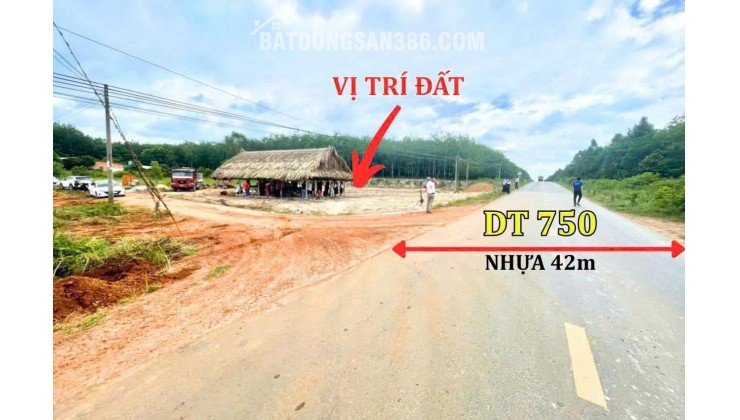 Cần Bán Lô Đất ngay trục Đường DT750, Long Hòa, Dầu Tiếng