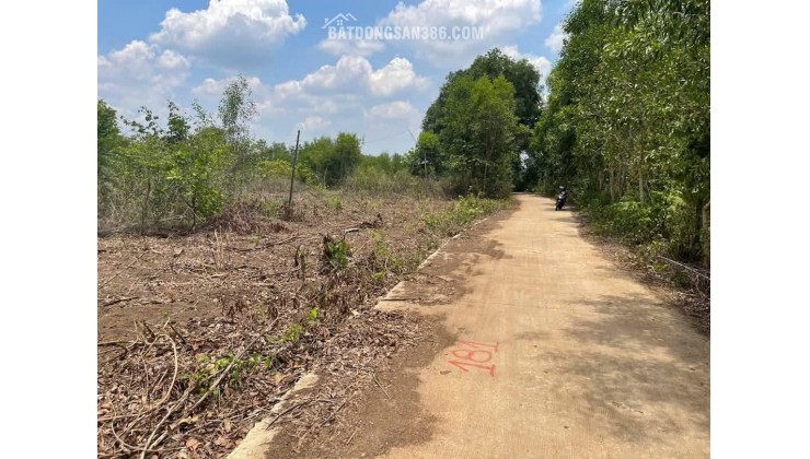 CHÍNH CHỦ CẦN BÁN ĐẤT 1000m² (12x90m) – GIÁ CHỈ 550 TRIỆU-  HỚN QUẢN -  BÌNH PHƯỚC